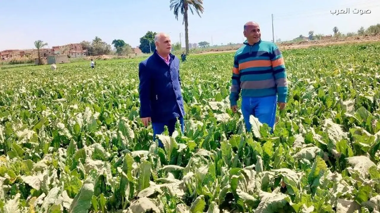 الزراعة تتخذ إجراءات حاسمة ضد المخالفات المرصودة