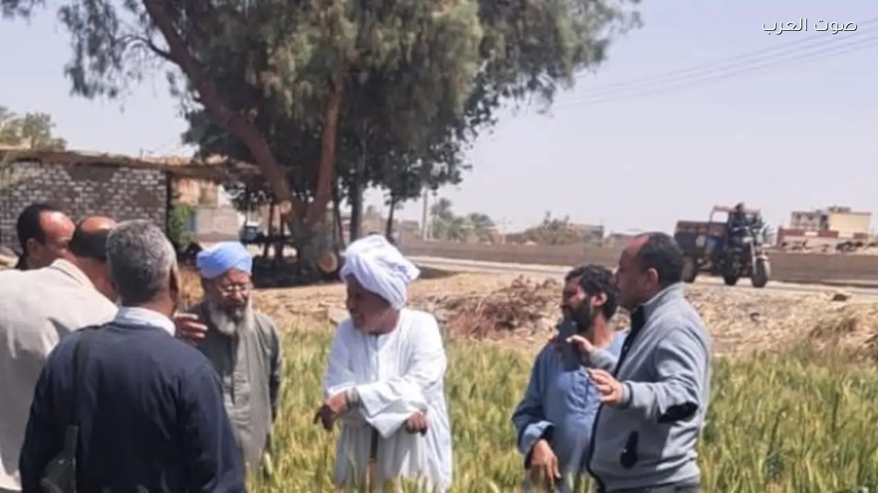 الزراعة تستهدف زيادة القيمة المضافة للذهب الأبيض