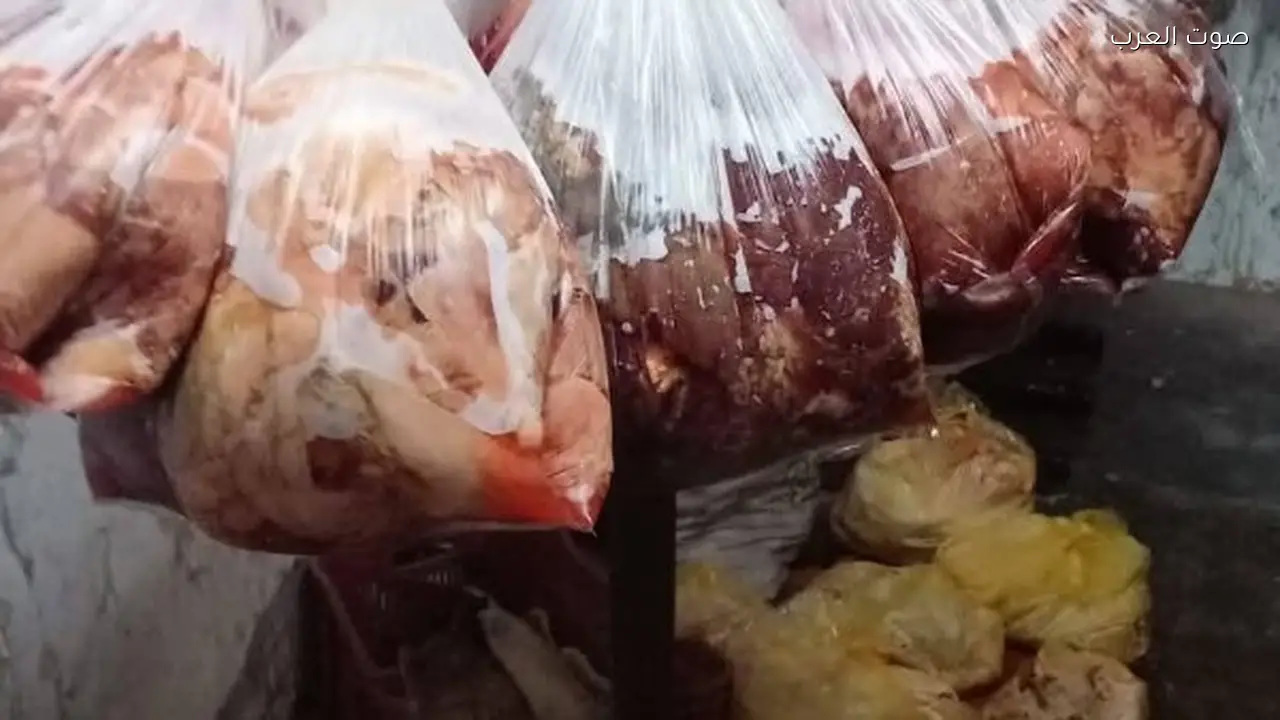 الزراعة تضبط 4.3 طن لحوم وأسماك فاسدة