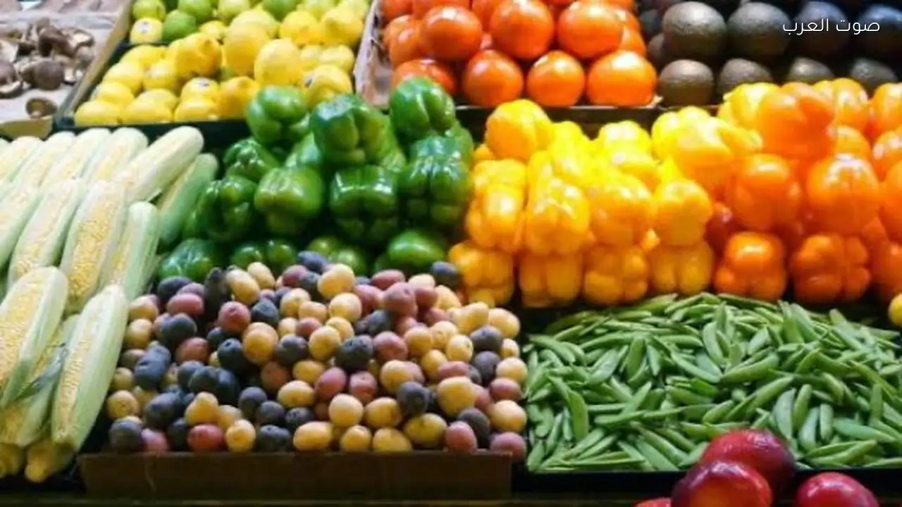 الزراعة توضح حقيقة توقف صادرات مصر في ظل الأوضاع الراهنة