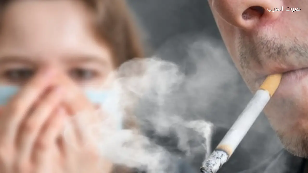 السجائر المهربة تستنزف موارد الدولة في اقتصاد الظل