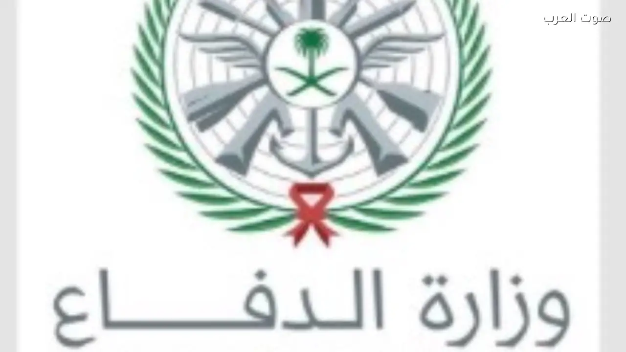 السعودية تدمر تسع مسيّرات فوق الربع الخالي