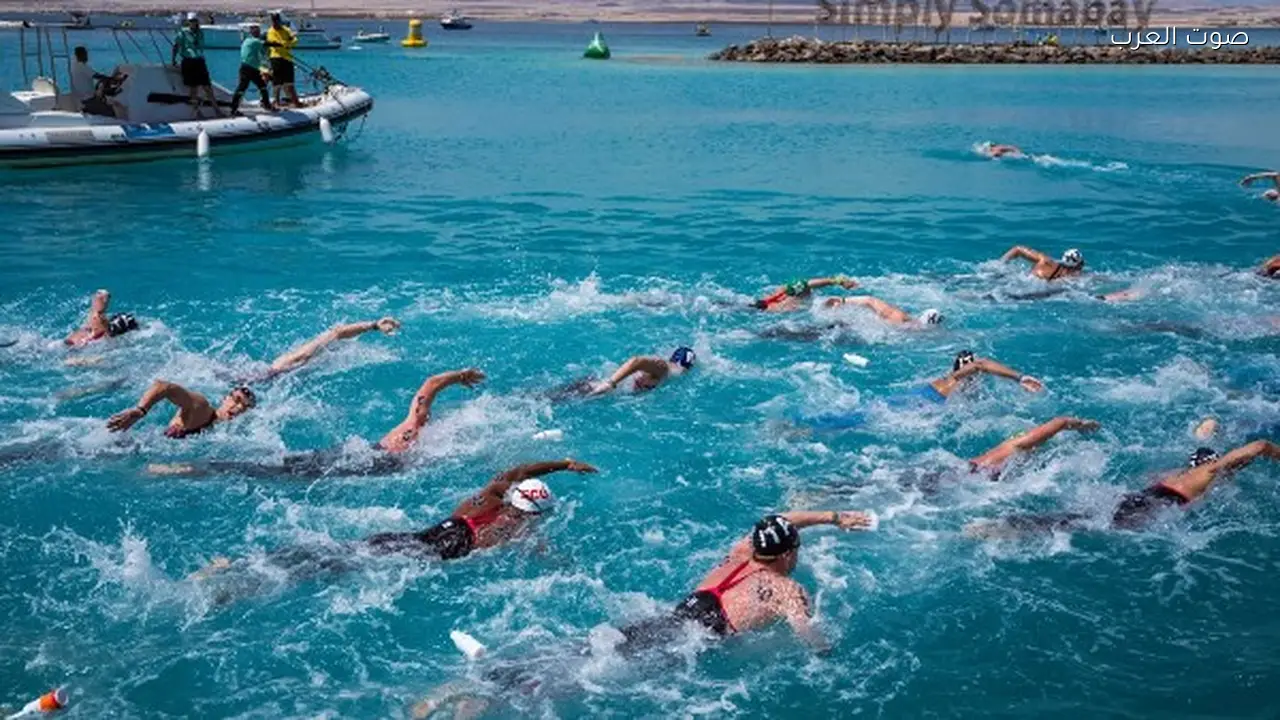 السياحة تدعم بطولتي كأس العالم للسباحة والفروسية في مصر