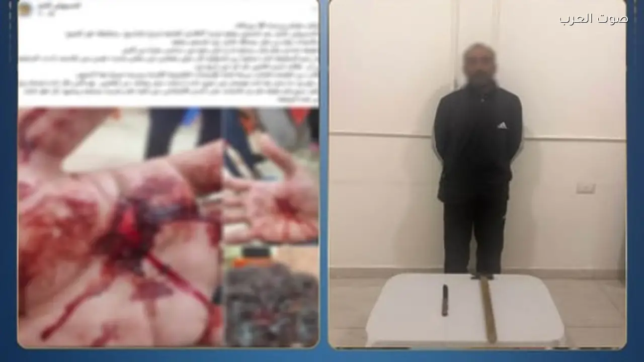 القبض على عاطل اعتدى على شقيقته في كفر الشيخ