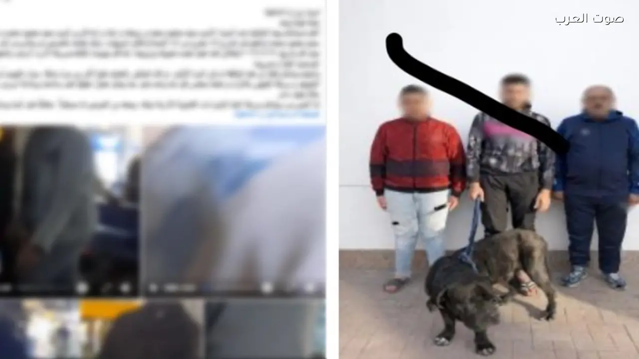 القبض على متهم بالاعتداء على سيدة وطفلها في الإسكندرية