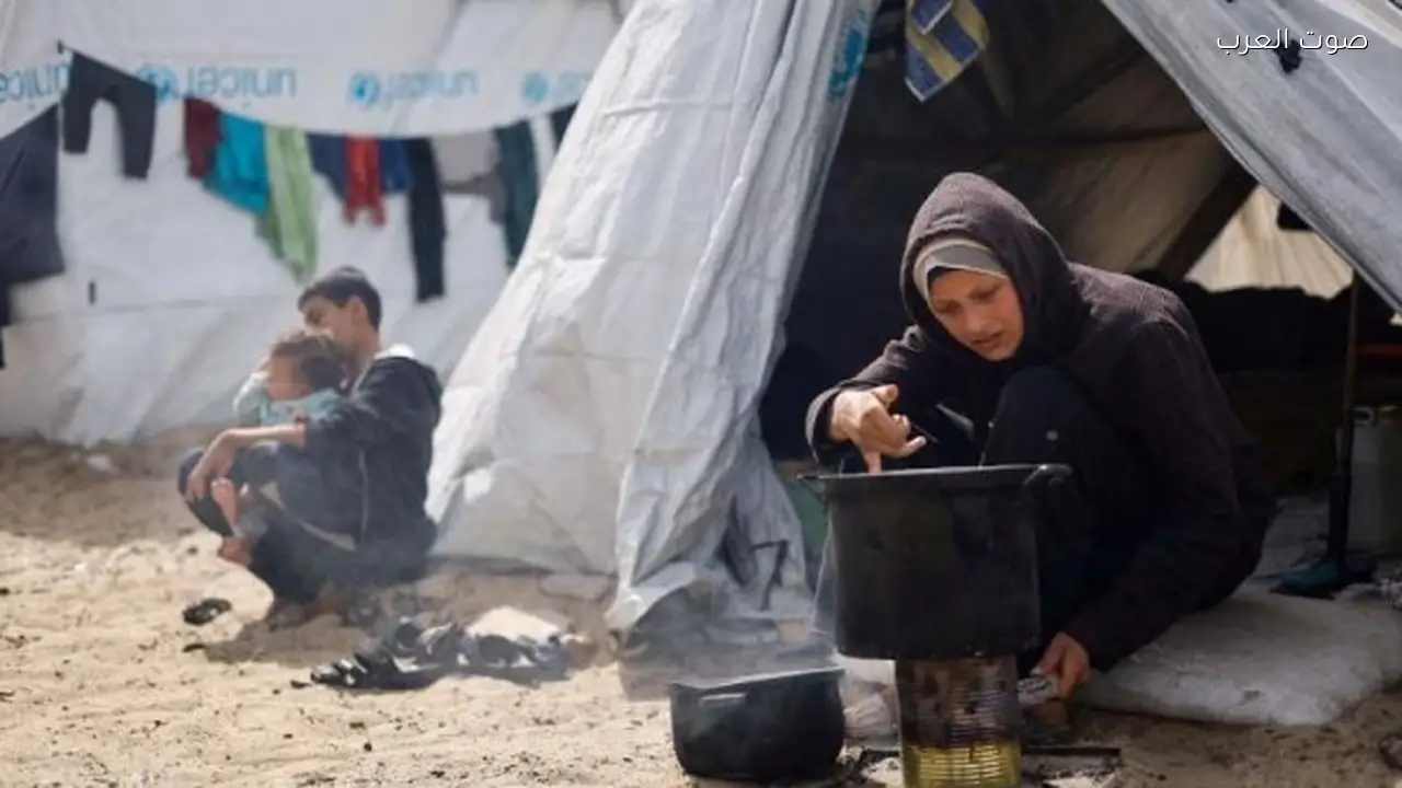 المرأة الفلسطينية تواصل صمودها في مواجهة الاحتلال