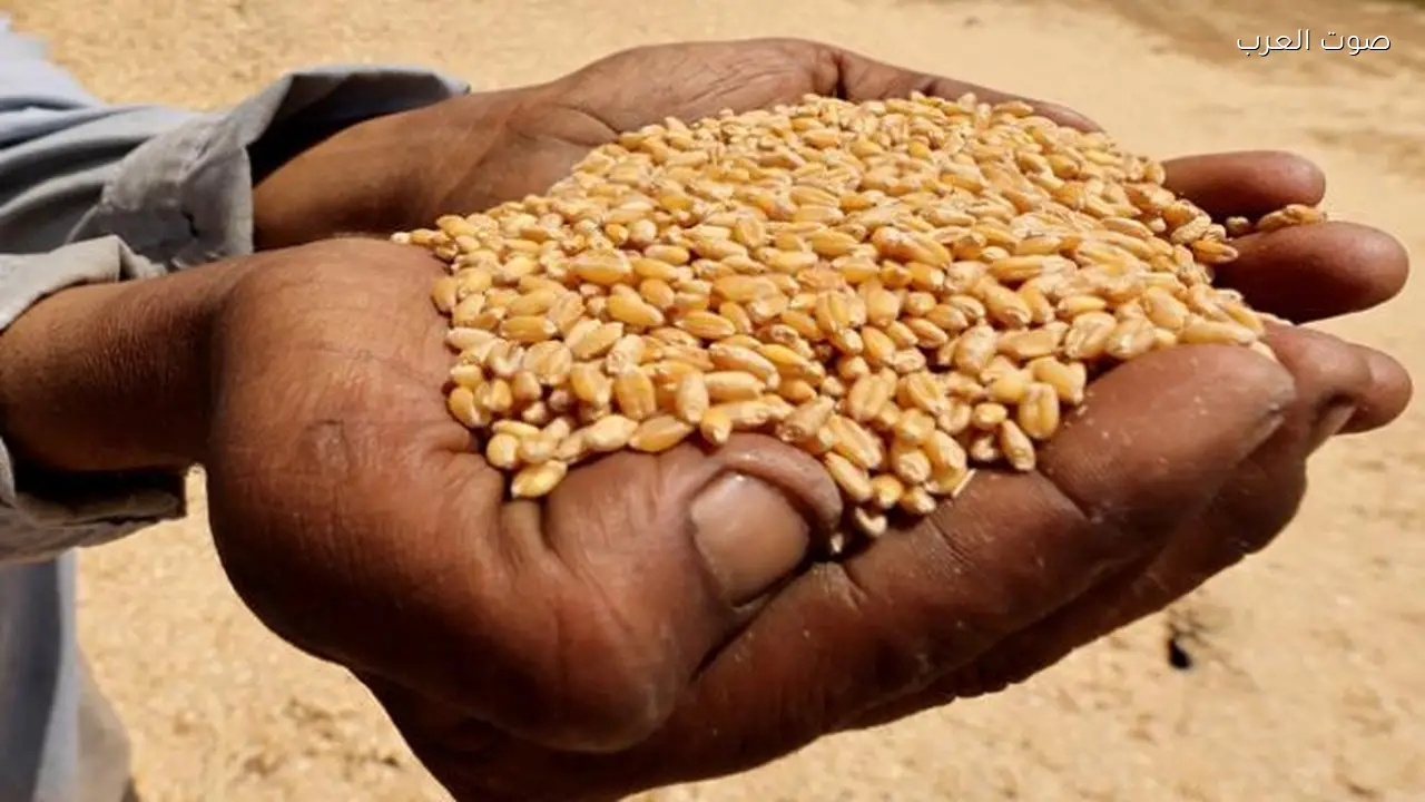 برنامج الأغذية العالمي: الحرب في إيران تهدد 45 مليون شخص بالجوع