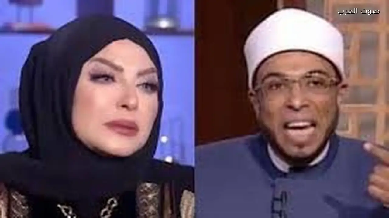 تأجيل دعوى تعويض ميار الببلاوي ضد محمد أبو بكر للمرافعة مجددًا