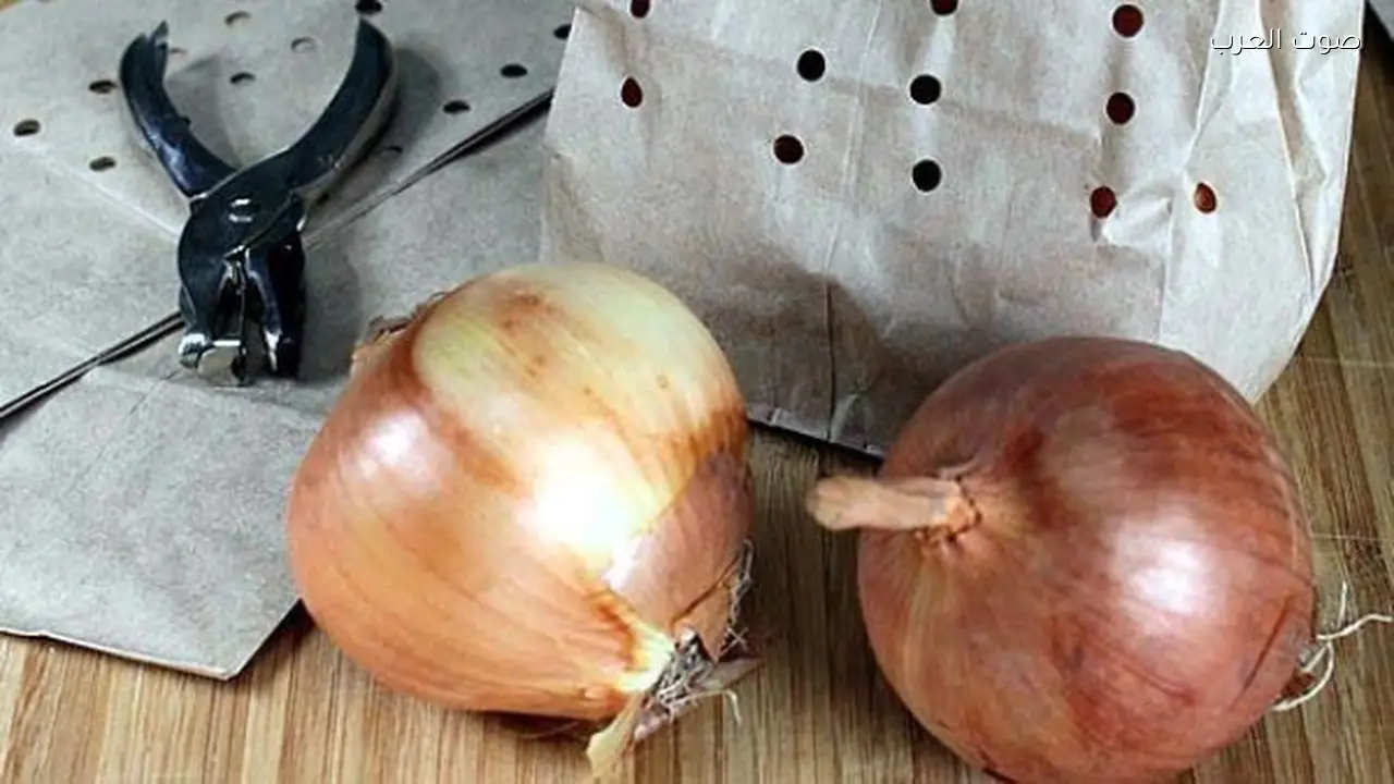 تخزين البصل والثوم في الثلاجة بدون رائحة بطرق بسيطة