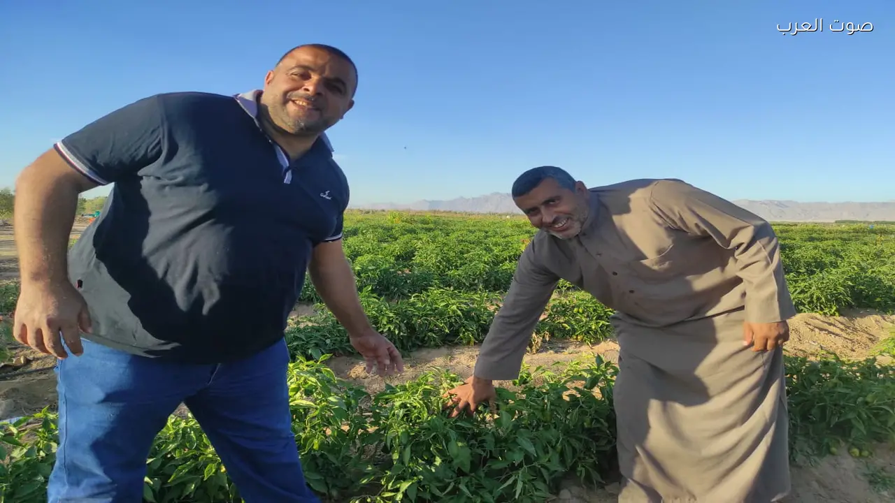 تخفيض 50% في خدمات الميكنة ودعم لمزارعي سيناء