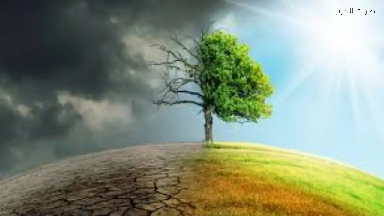 تقرير سويسري: تدهور جودة الهواء نتيجة تغير المناخ البشري