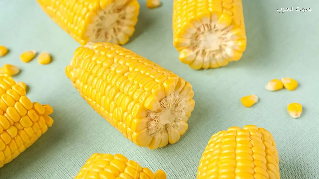 تناول الذرة الصفراء يمنع الزهايمر ويعزز صحة البروستاتا