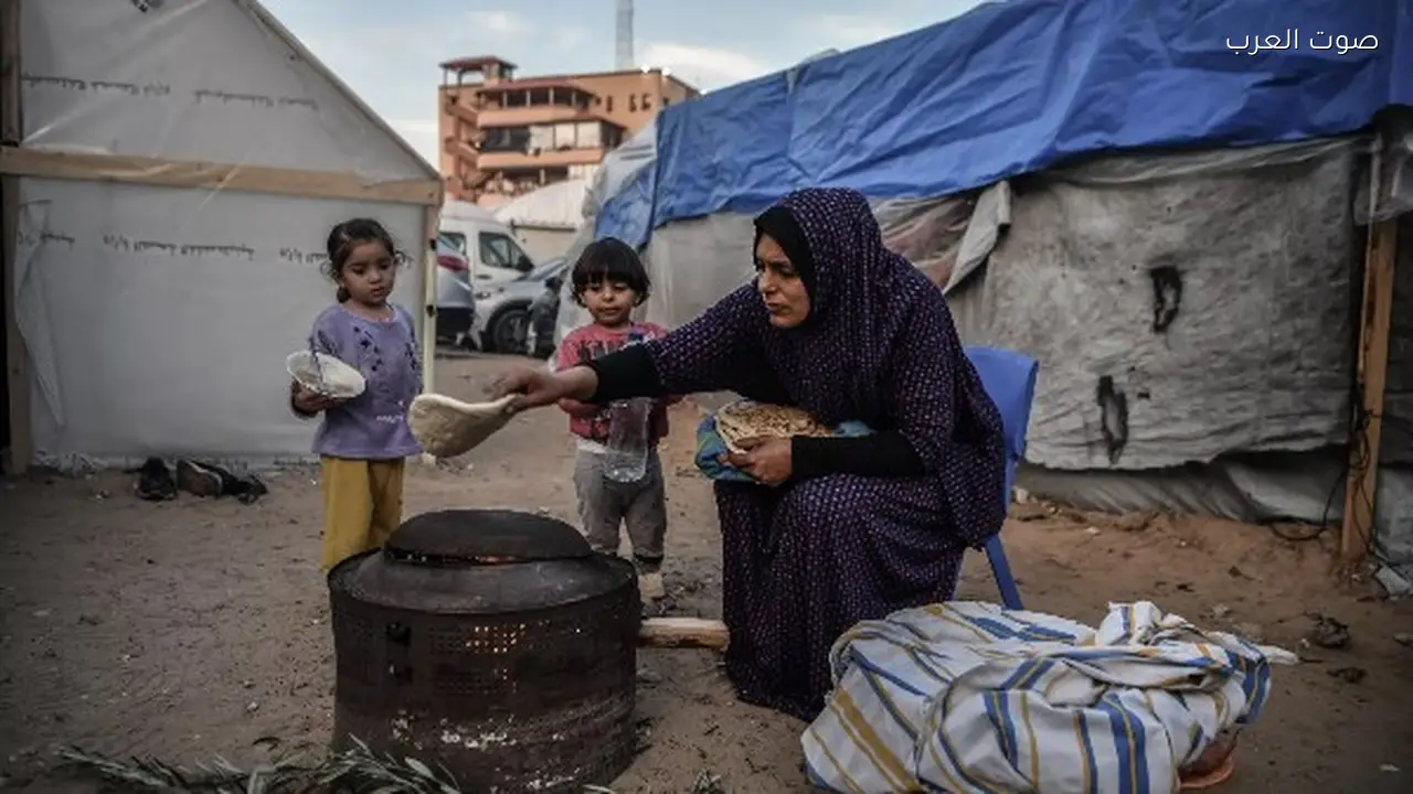 جامعة الدول العربية تطالب بحماية النساء في النزاعات بمناسبة يوم المرأة العالمي