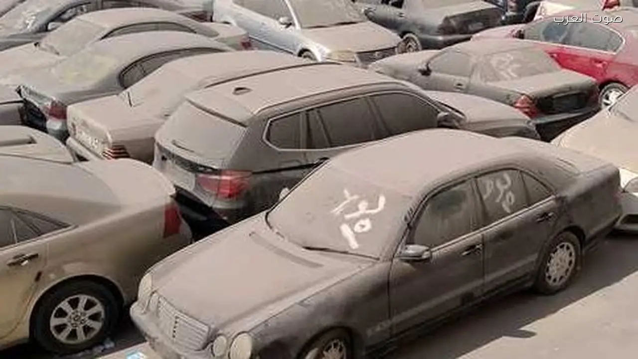 جمارك السويس تجمع 40.9 مليون جنيه من مزاد 21 لوط سيارات وبضائع