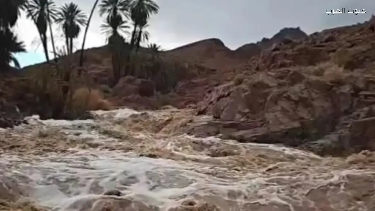 حصاد مليوني متر مكعب من مياه الأمطار بسدود سانت كاترين