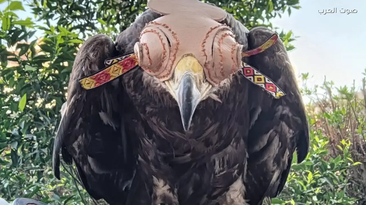 حملة لمكافحة الاتجار غير المشروع بالحياة البرية في سوق الجمعة