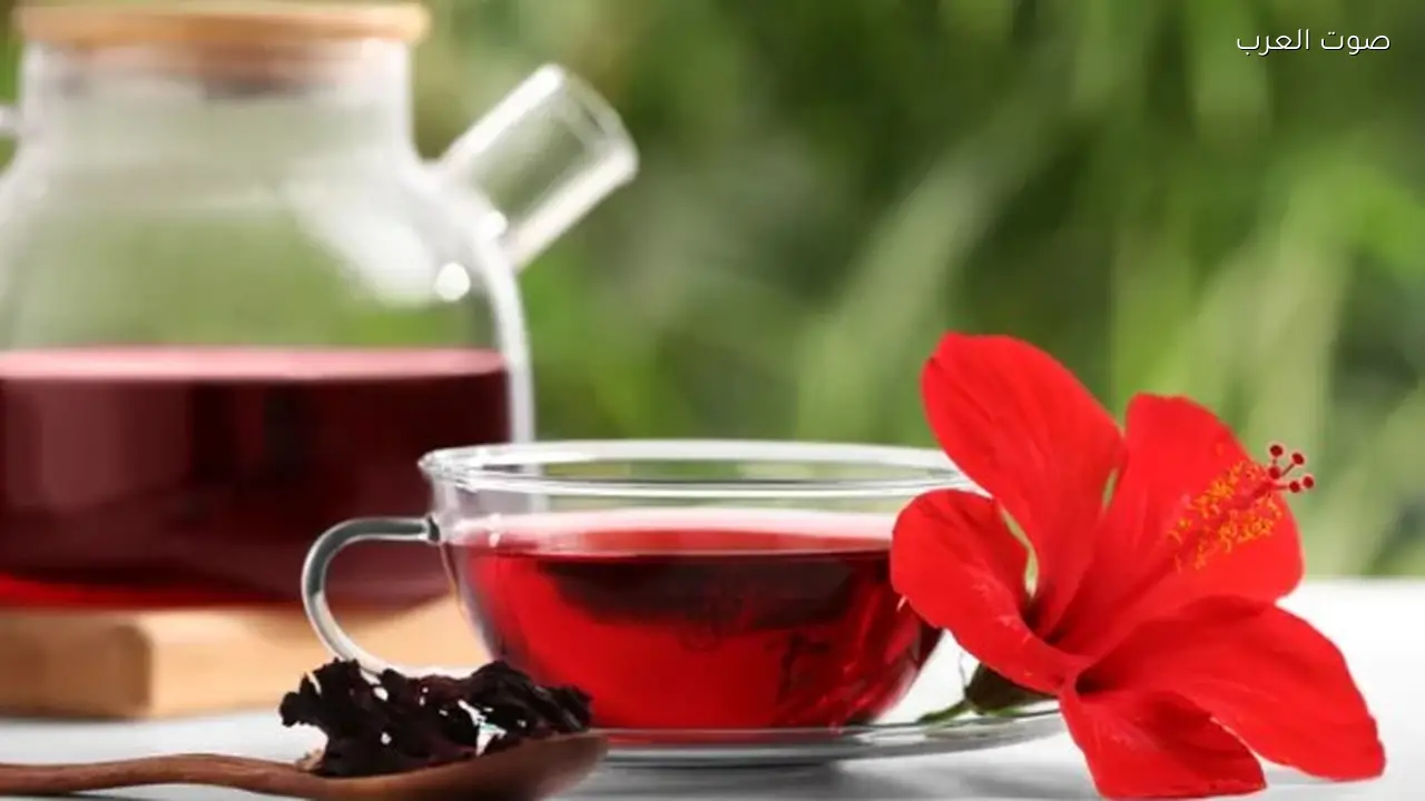 دراسة توضح تأثير شرب الكركديه على ضغط الدم