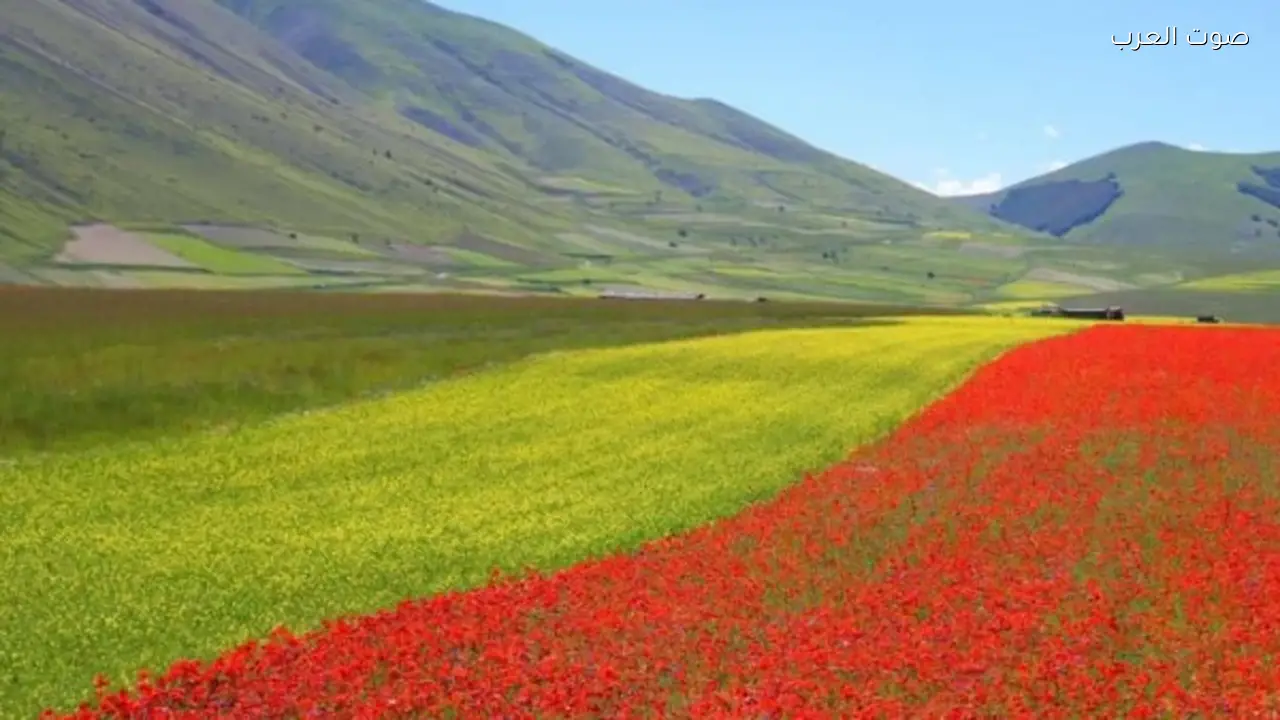 دعوة الشركات لحماية الطبيعة لتجنب خطر الانقراض