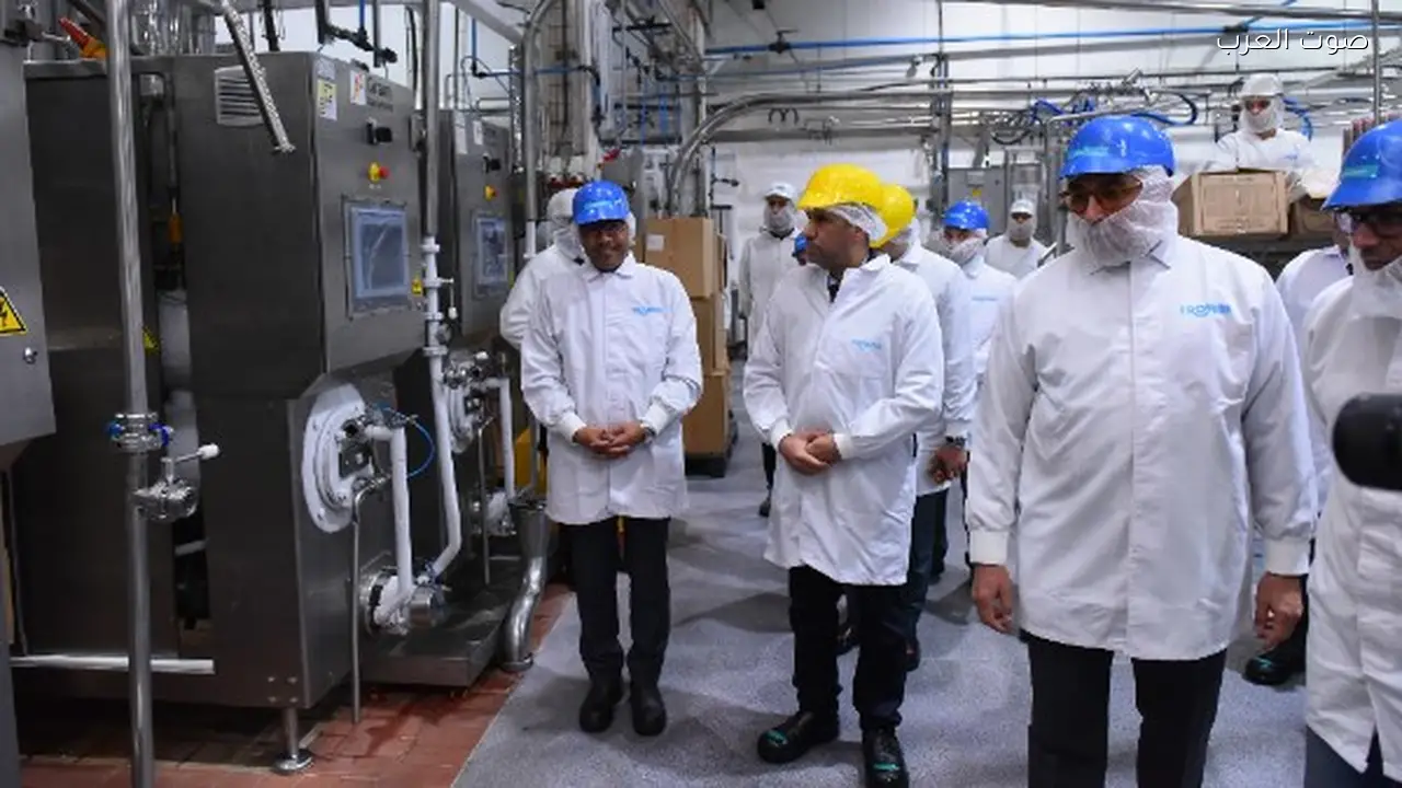 رداد: الحماية الاجتماعية للعمال تعزز الإنتاجية وتحسن بيئة العمل