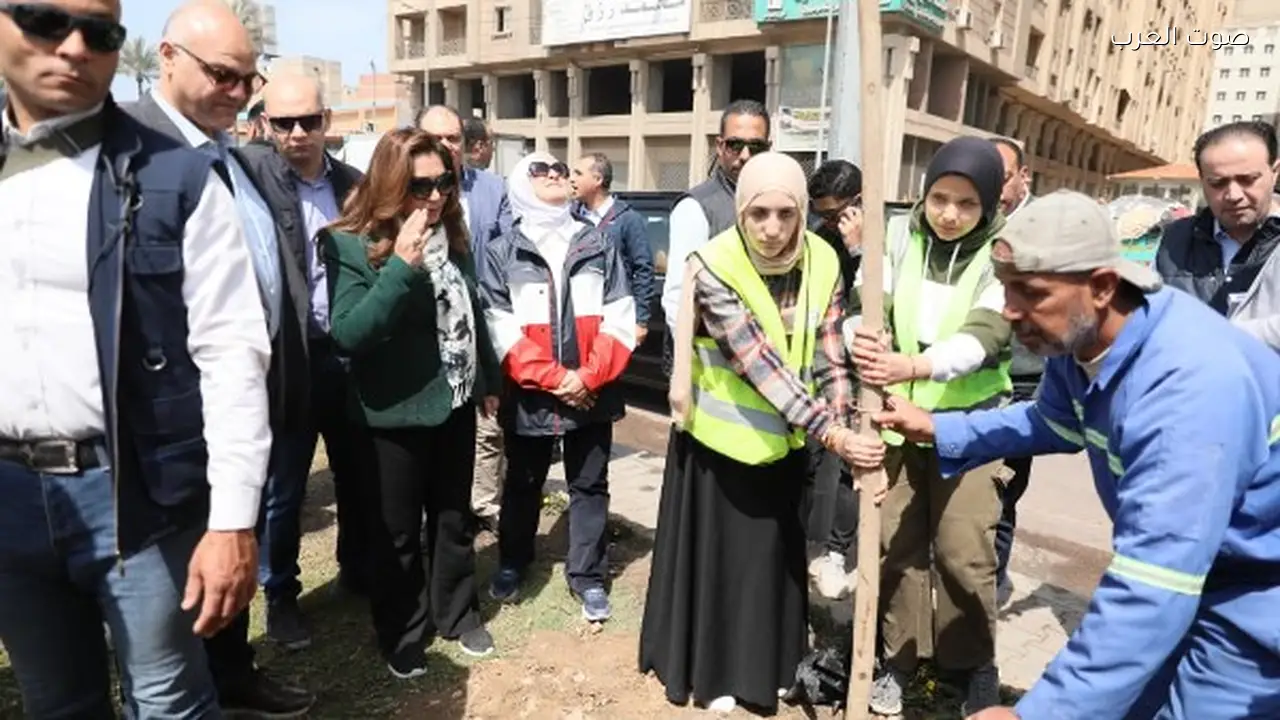 زراعة 9460 شجرة في الإسكندرية لتحسين جودة الهواء