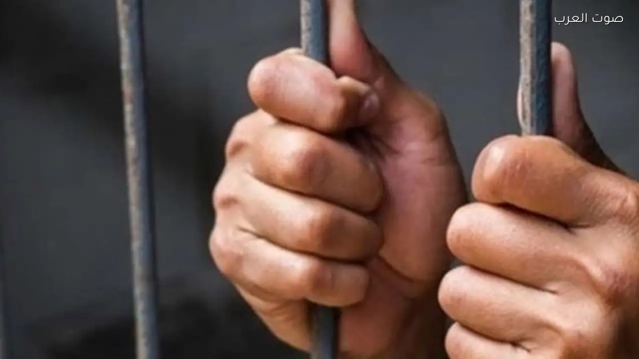 سائق أتوبيس متهم بقتل شخص في المطرية