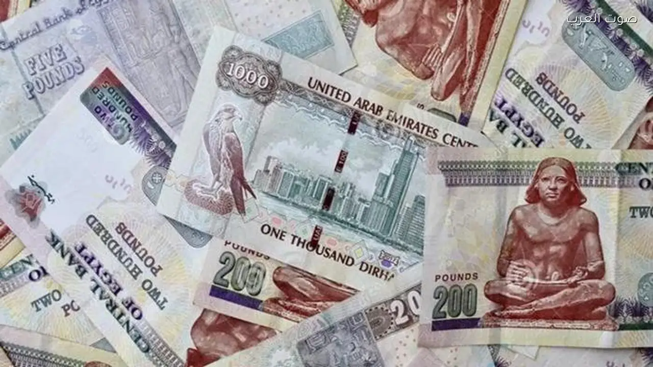 سعر الدرهم الإماراتي مقابل الجنيه المصري بتاريخ 29 مارس 2026