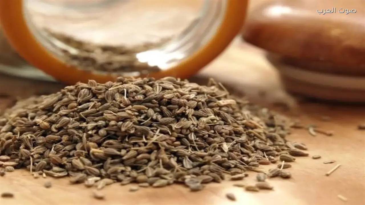 شرب اليانسون يعزز الصحة ويخفف نزلات البرد