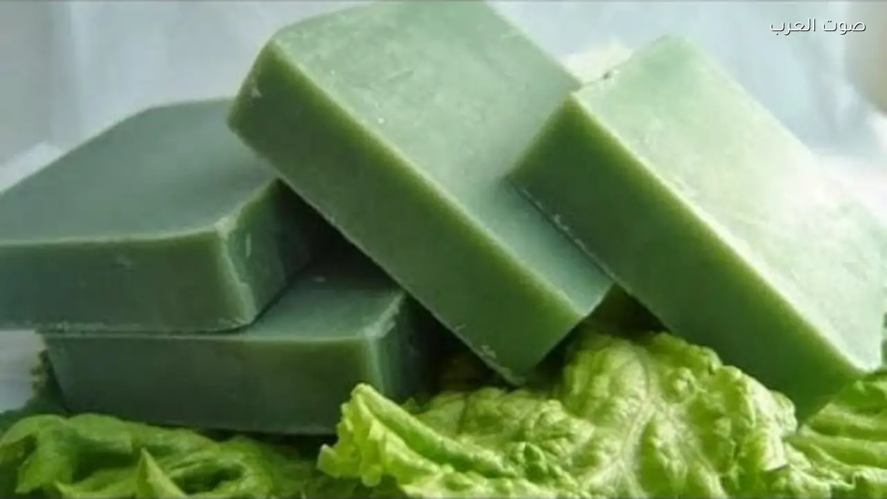 صابونة السدر تعزز جمال البشرة والشعر بشكل طبيعي