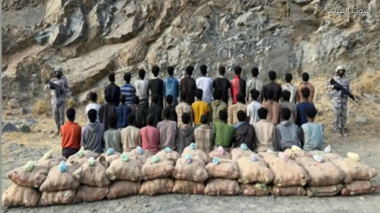 ضبط 40 مخالفًا لتهريب 880 كيلوجرامًا من القات بجازان