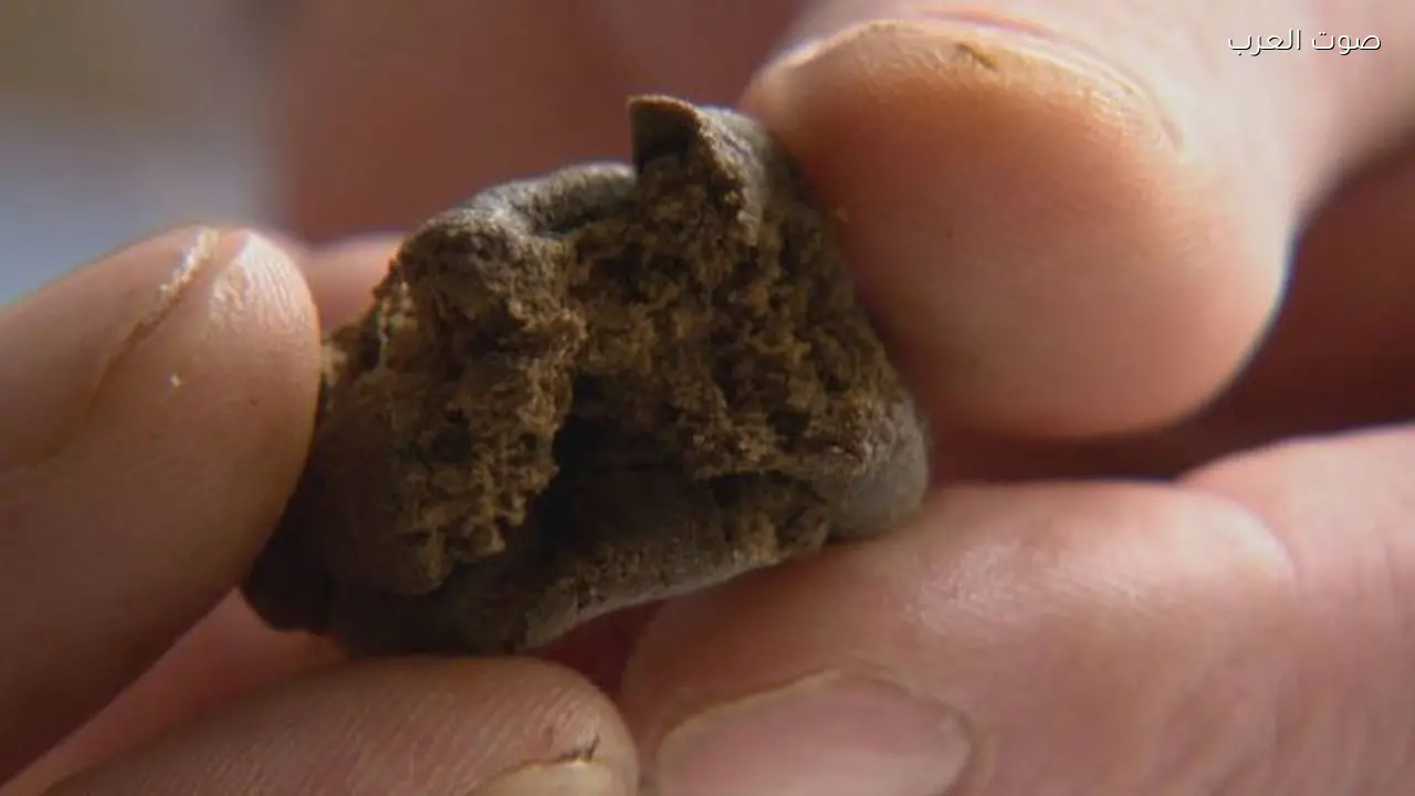 ضبط شقيق فنانة شهيرة بحشيش وخمرة في الشيخ زايد