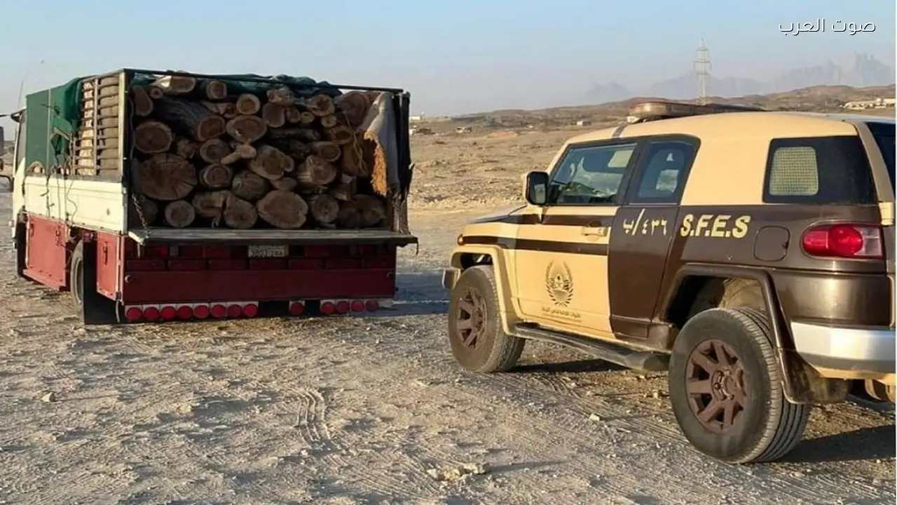 ضبط مخالف لنقل حطب داخل محمية الأمير محمد بن سلمان