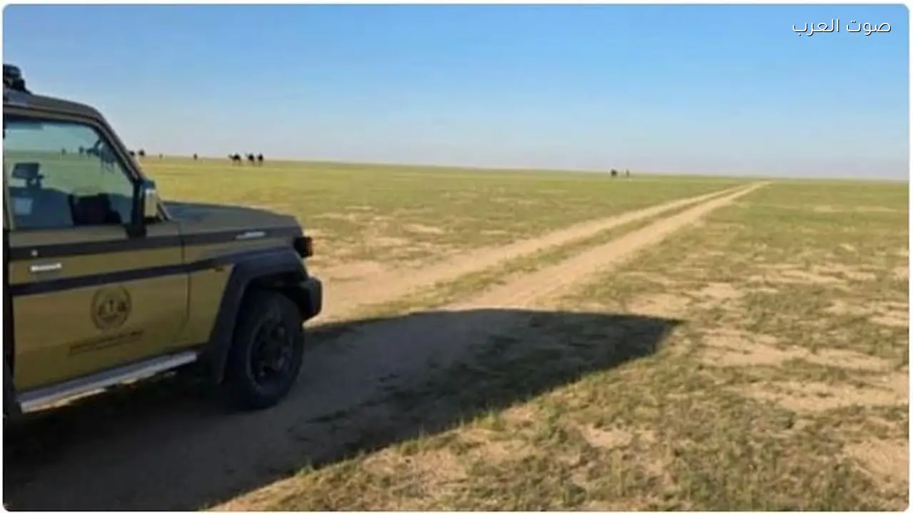 ضبط مواطن لمخالفة رعي في محمية الملك عبدالعزيز