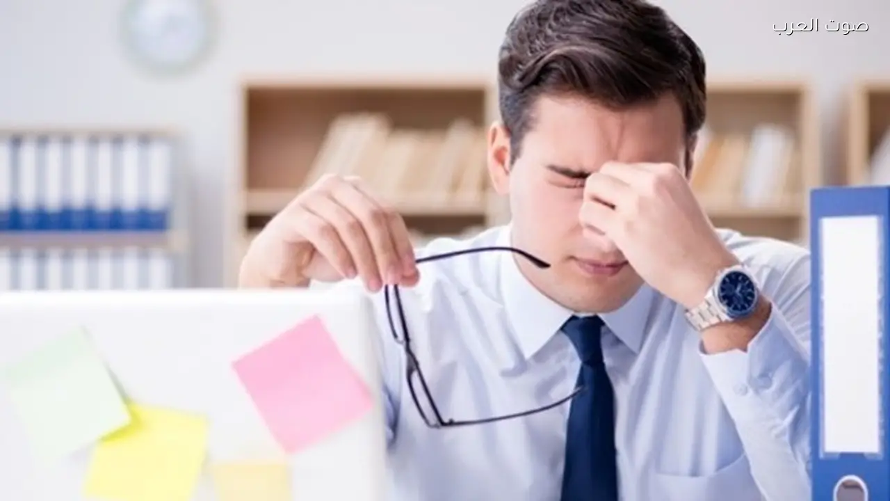 عشبة تعزز الذاكرة ووظائف المخ تعرف عليها الآن