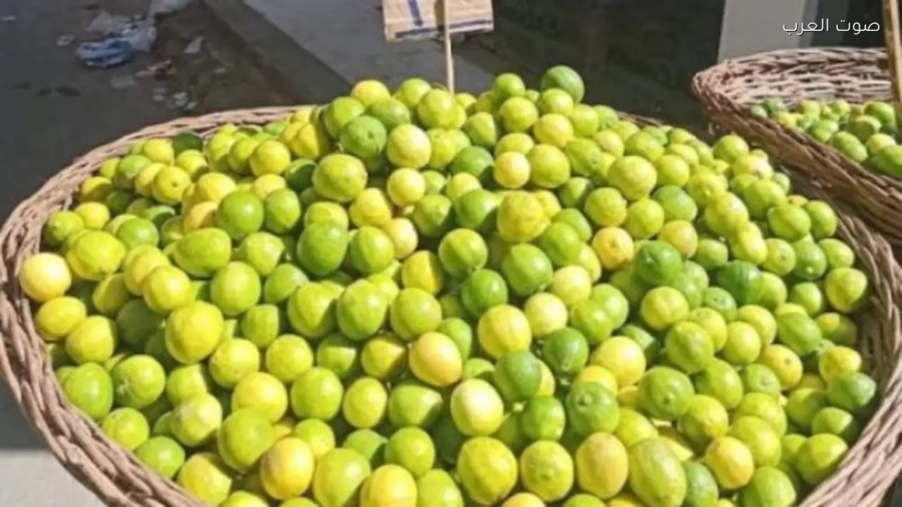 فتح السوق السلفادوري لصادرات الليمون المصري