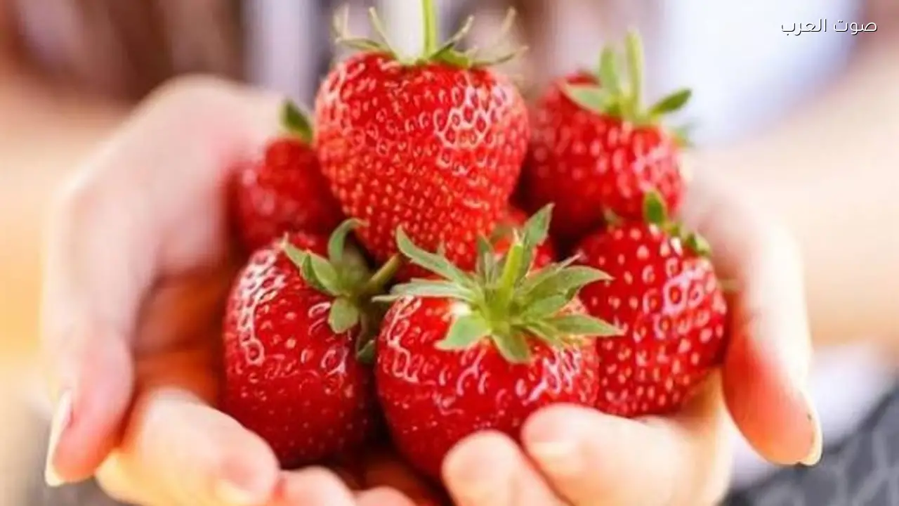 فوائد تناول الفراولة يومياً على صحة الجسم