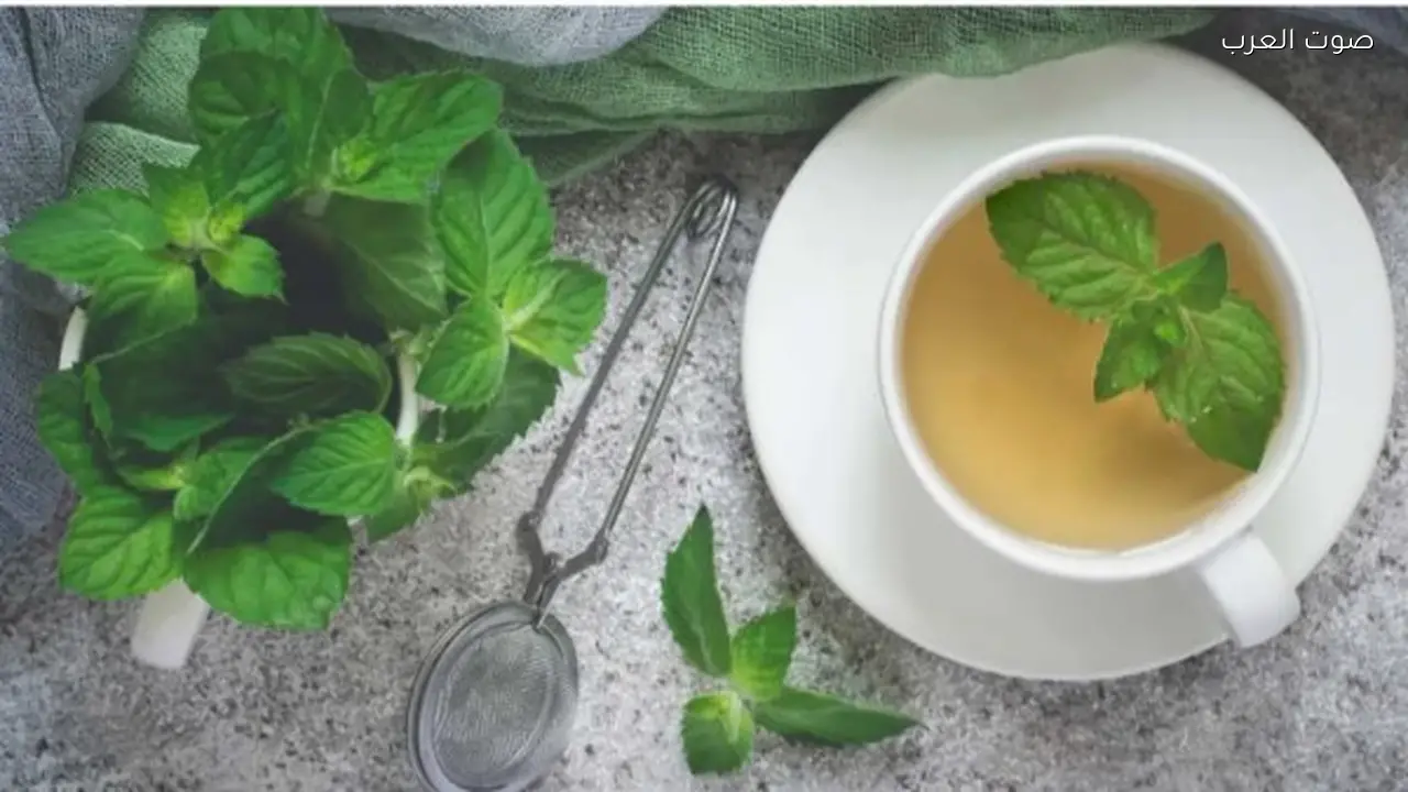 فوائد شرب النعناع قبل النوم لجسمك ومفاجآته الصحية