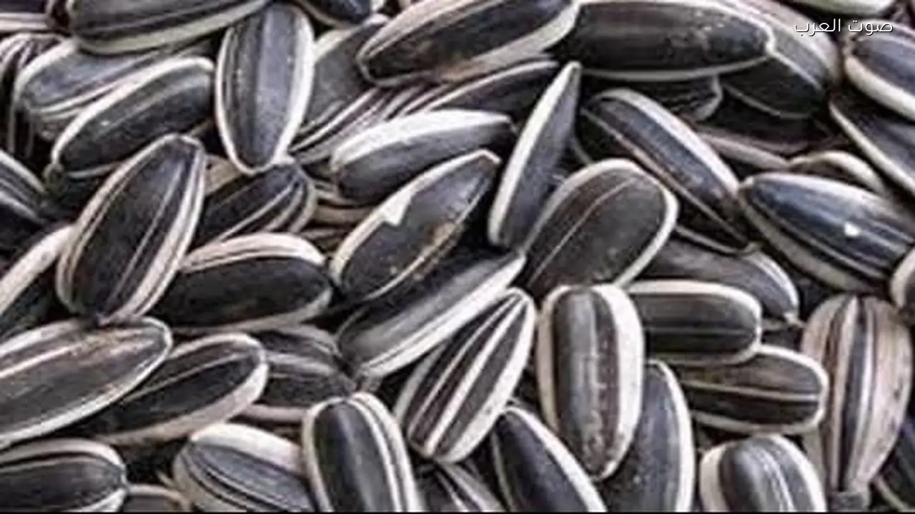 فوائد مذهلة للبصل تجعله جزءًا أساسيًا من نظامك الغذائي