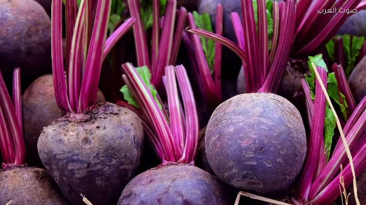 فوائد مذهلة للبنجر قد لا تعرفها