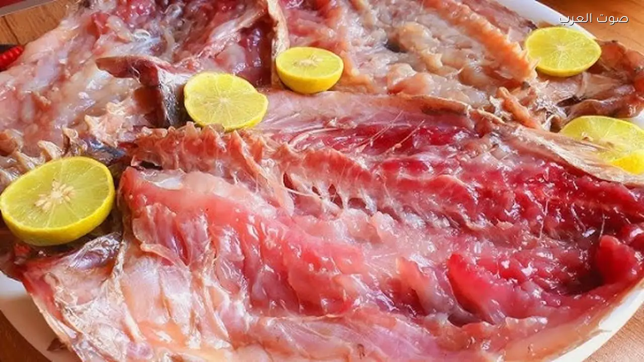 كيف تختار رنجة عيد الفطر الآمنة قبل الشراء؟