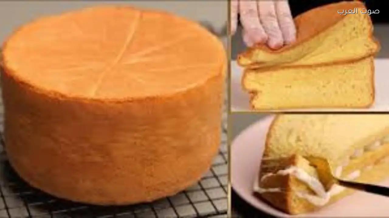 كيكة إسفنجية هشة بخطوات سهلة لتحضيرها في المنزل