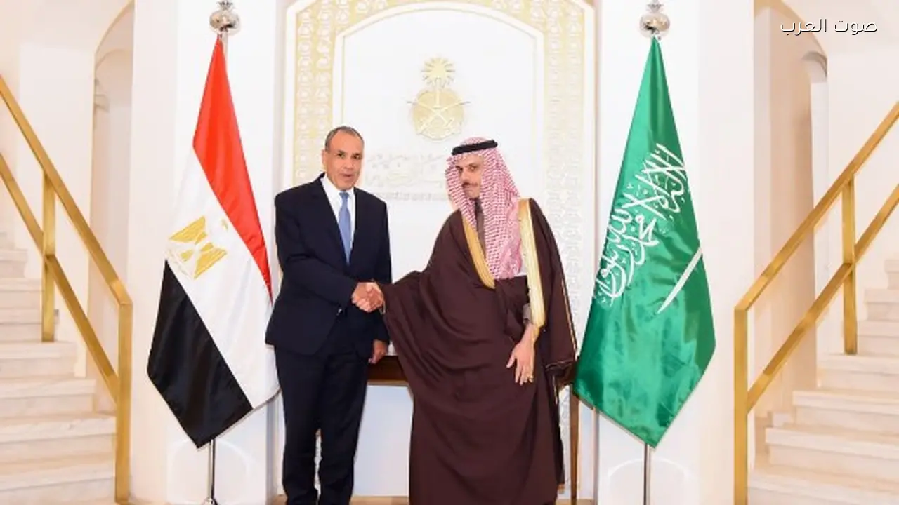 مباحثات مصر والسعودية في الرياض لتنسيق الجهود العربية