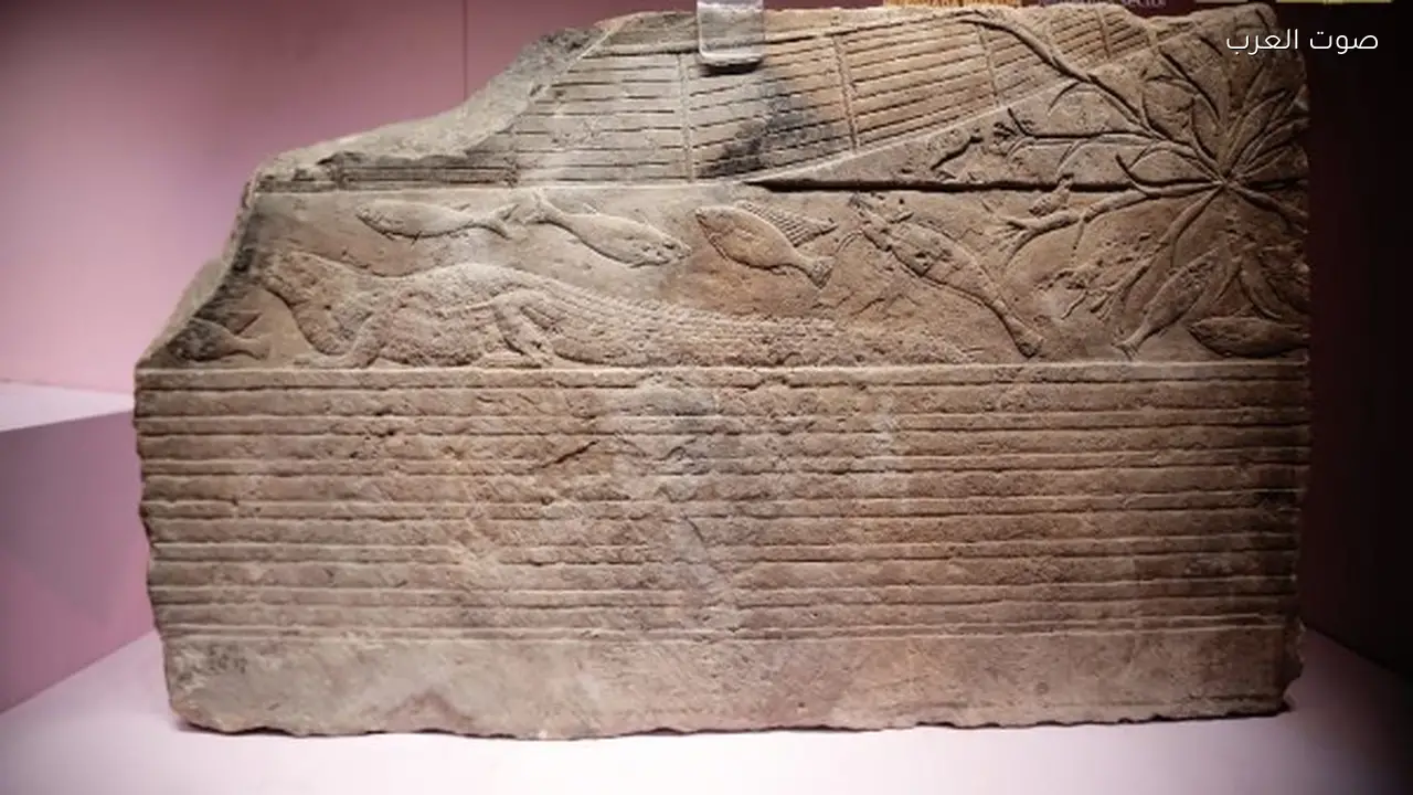 متحف الغردقة يحيي اليوم العالمي للمياه