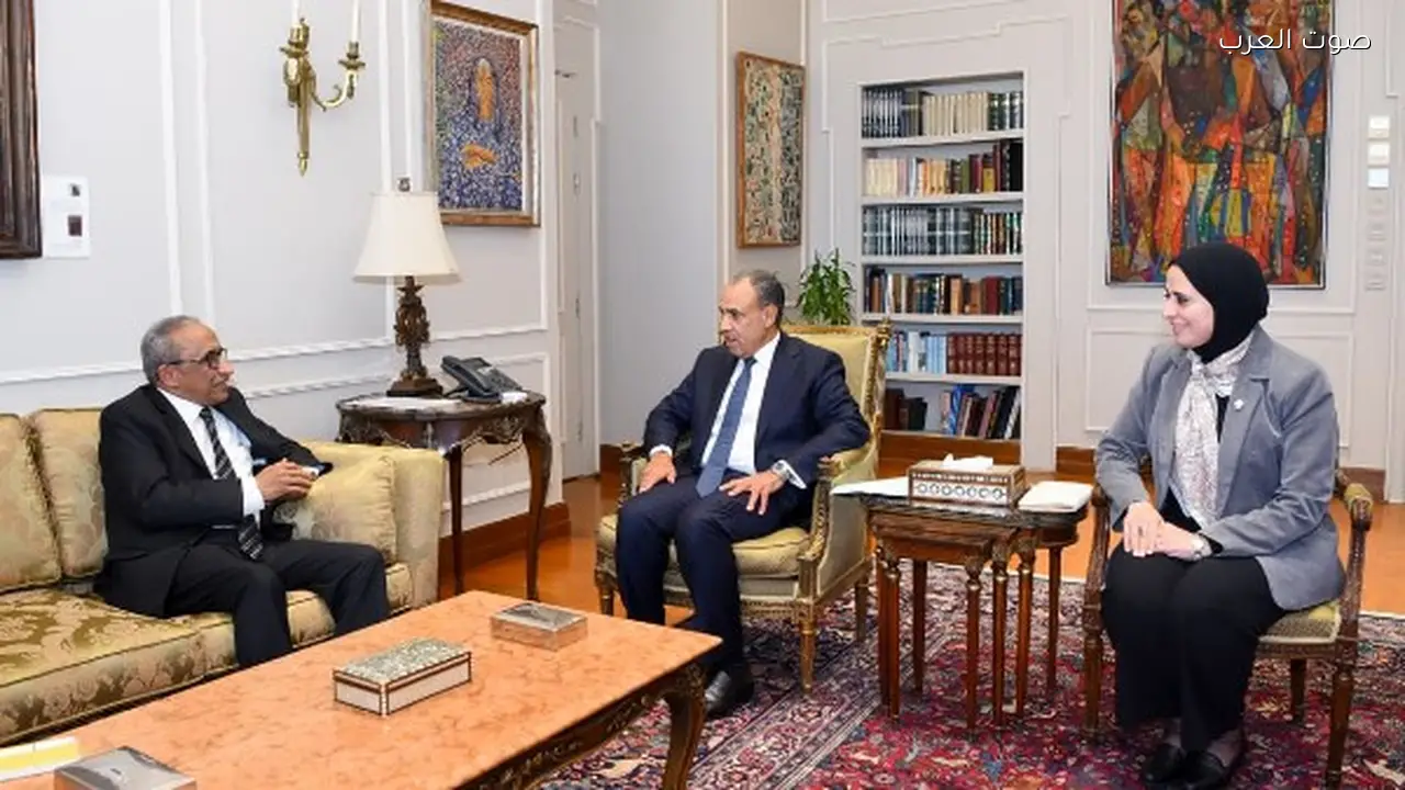 مجلس الوحدة الاقتصادية يعزز التكامل الاقتصادي العربي حسب وزير الخارجية