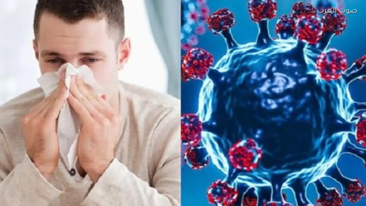 مخاطر عدم التعرض لأشعة الشمس على صحتك تحذير من خبيرة فلك