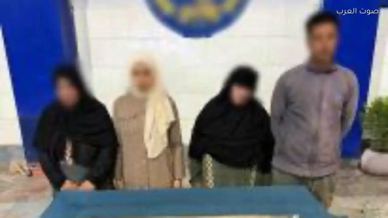 مشاجرة بين سيدات في كفر الشيخ تؤدي إلى القبض على الطرفين