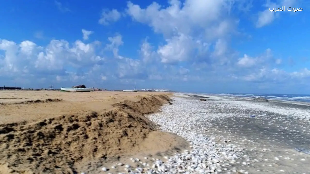 مشروع وطني لحماية سواحل دلتا النيل من التغيرات المناخية