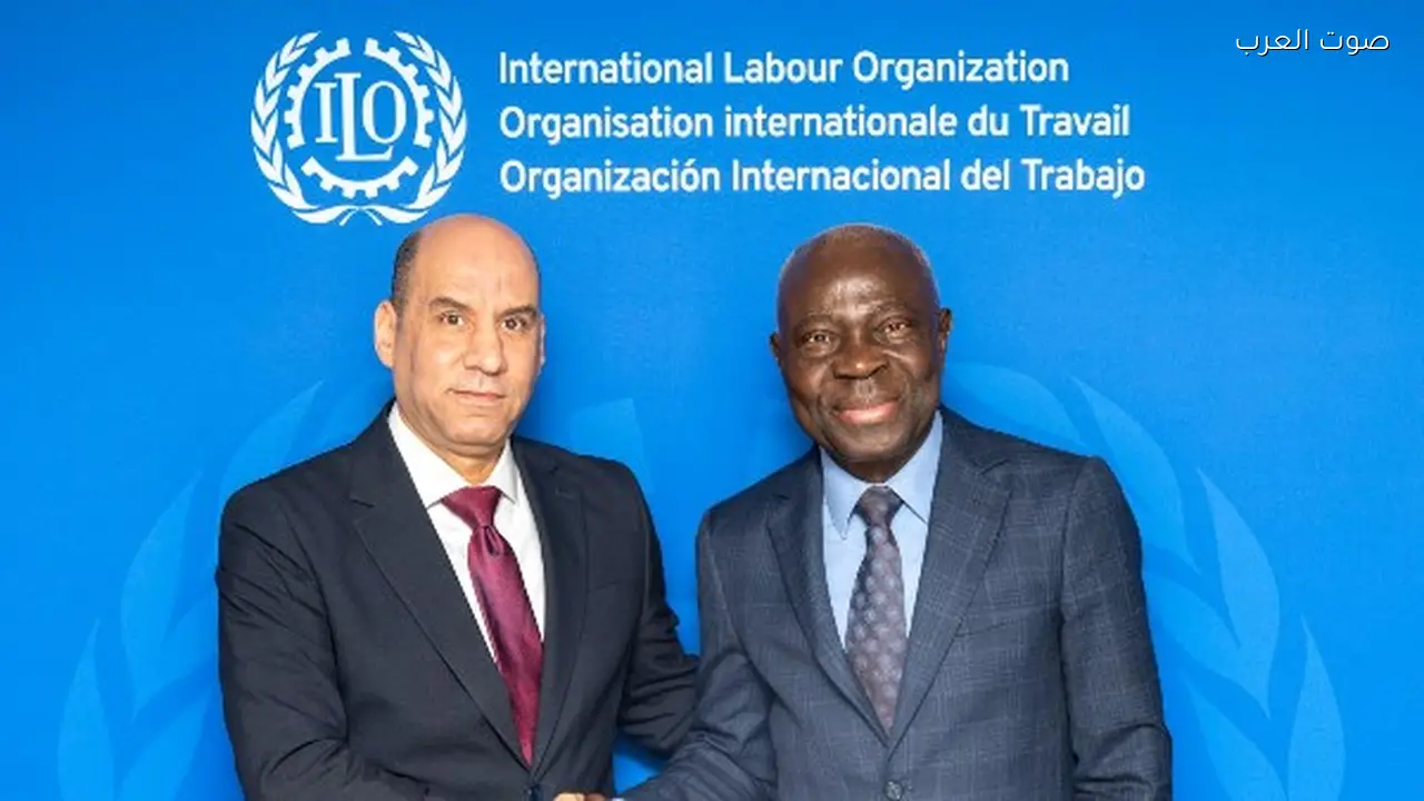 مشروعات تنموية مع العمل الدولية لدعم سوق العمل في مصر