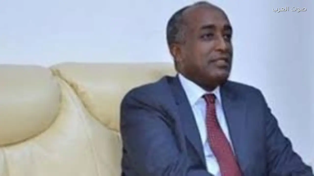 مصر تؤكد أهمية تعزيز التعاون مع الدول الإفريقية