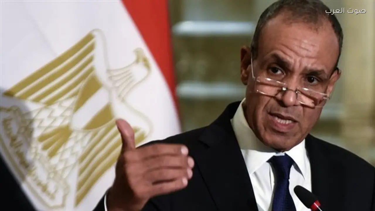 مصر تؤكد استمرار جهودها لوقف الاعتداءات على الدول الشقيقة