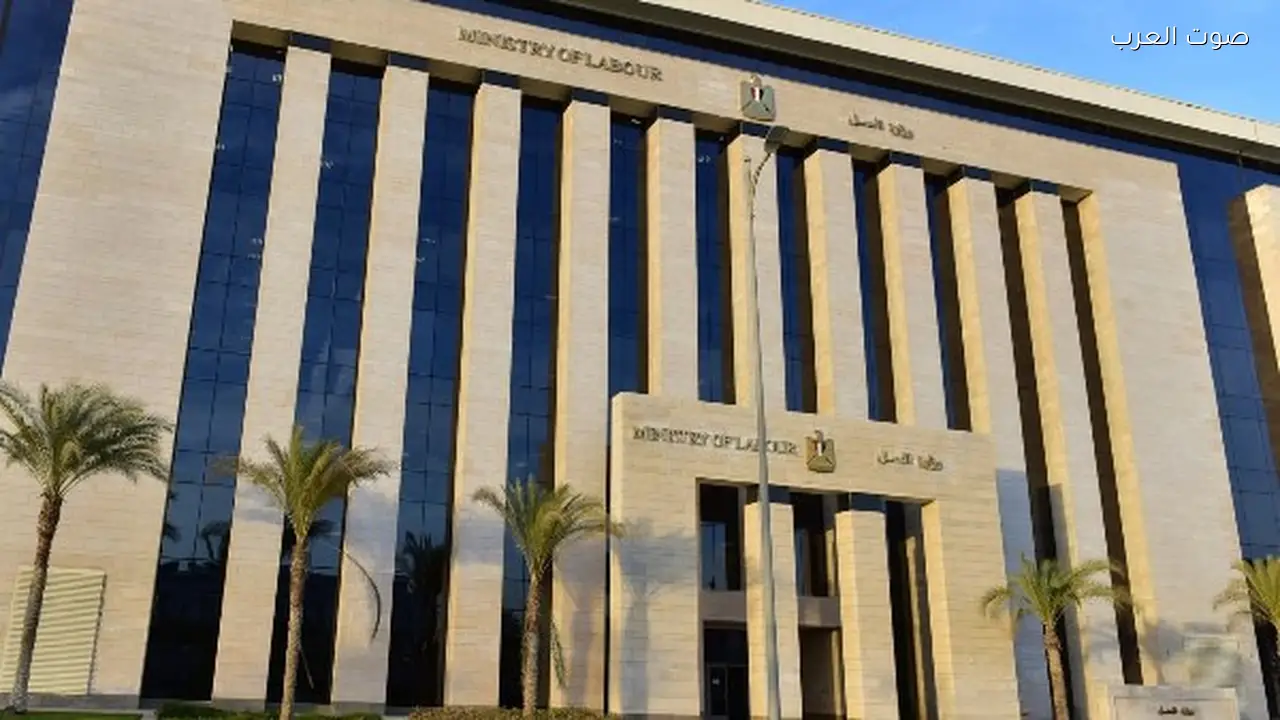 منح 886 منشأة مهلة لتوفيق الأوضاع وغلق 59 منشأة في مصر